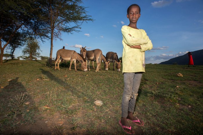 Lchekutis, Maasai Child Shepherds